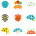Neurodiversity. Picture of different brains. Designed by macrovector_official / Freepik